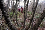 12 Nel bosco di carpine nero